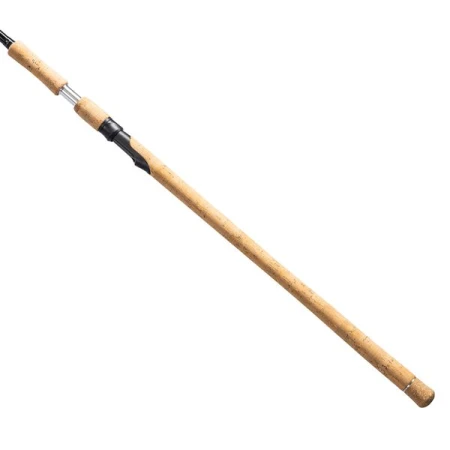 DAIWA SilverCreek Spin 10' 4PC