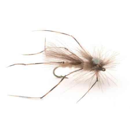 GUIIDELINE CDC Daddy Long Legs #12