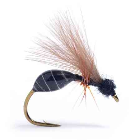 RS Glue Ant Black