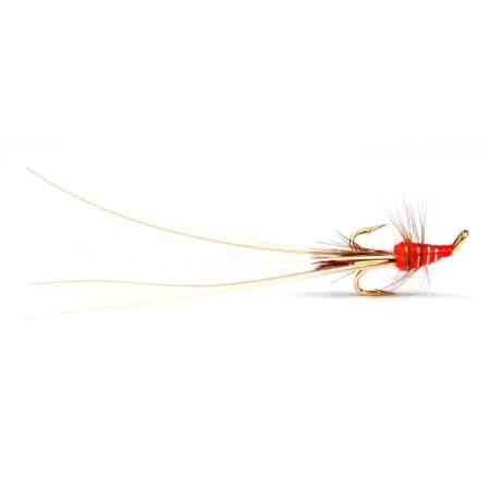 GUIDELINE Red Frances Golden - Treble