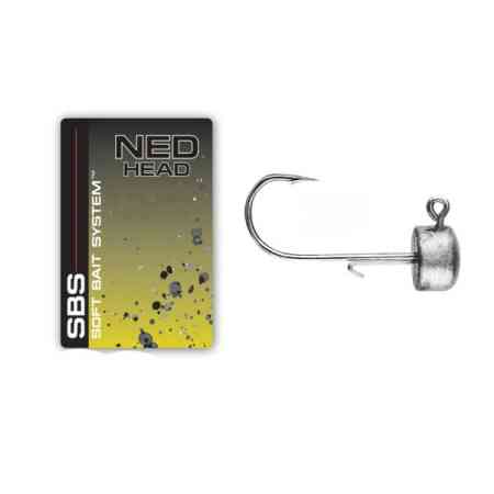 NED HEAD -