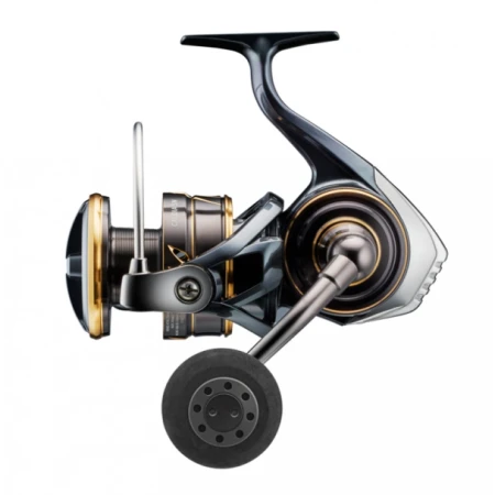 DAIWA 22 Caldia SW 5000D-CXH