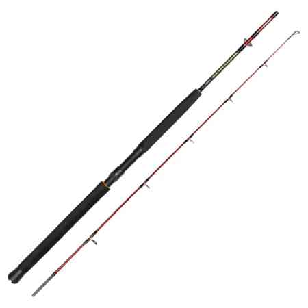 DAIWA SeaHunter Spin 6'0'' 2pc 80-200g