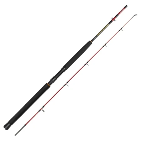 DAIWA SeaHunter Spin 6'0'' 2pc 80-200g