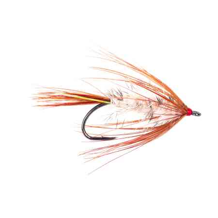 Autumn Fly #10