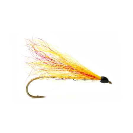 Mickey Finn