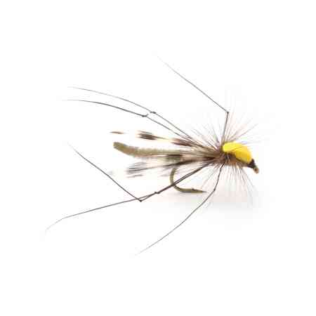 Parachute Long Legs #10