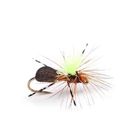 GUIDELINE High-Viz Rufa Ant