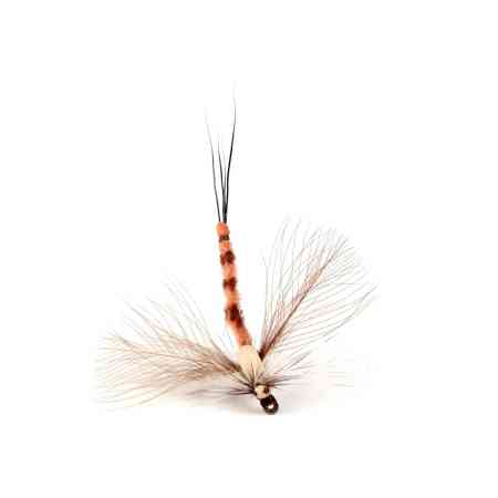 Danica Spent Spinner