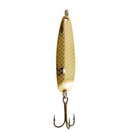 Buch Salmon 24g